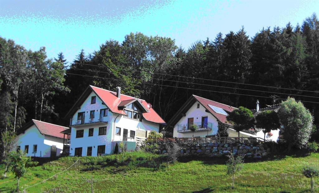 Gasthof Gruener Baum "Kongo" Amtzell Buitenkant foto