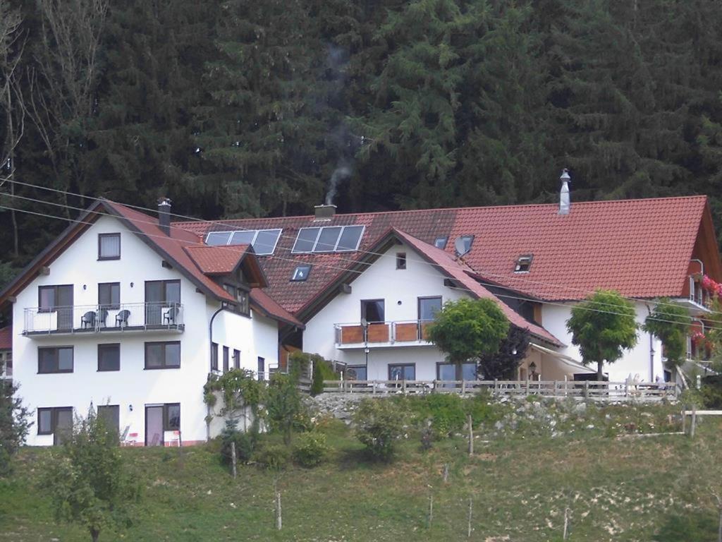Gasthof Gruener Baum "Kongo" Amtzell Buitenkant foto