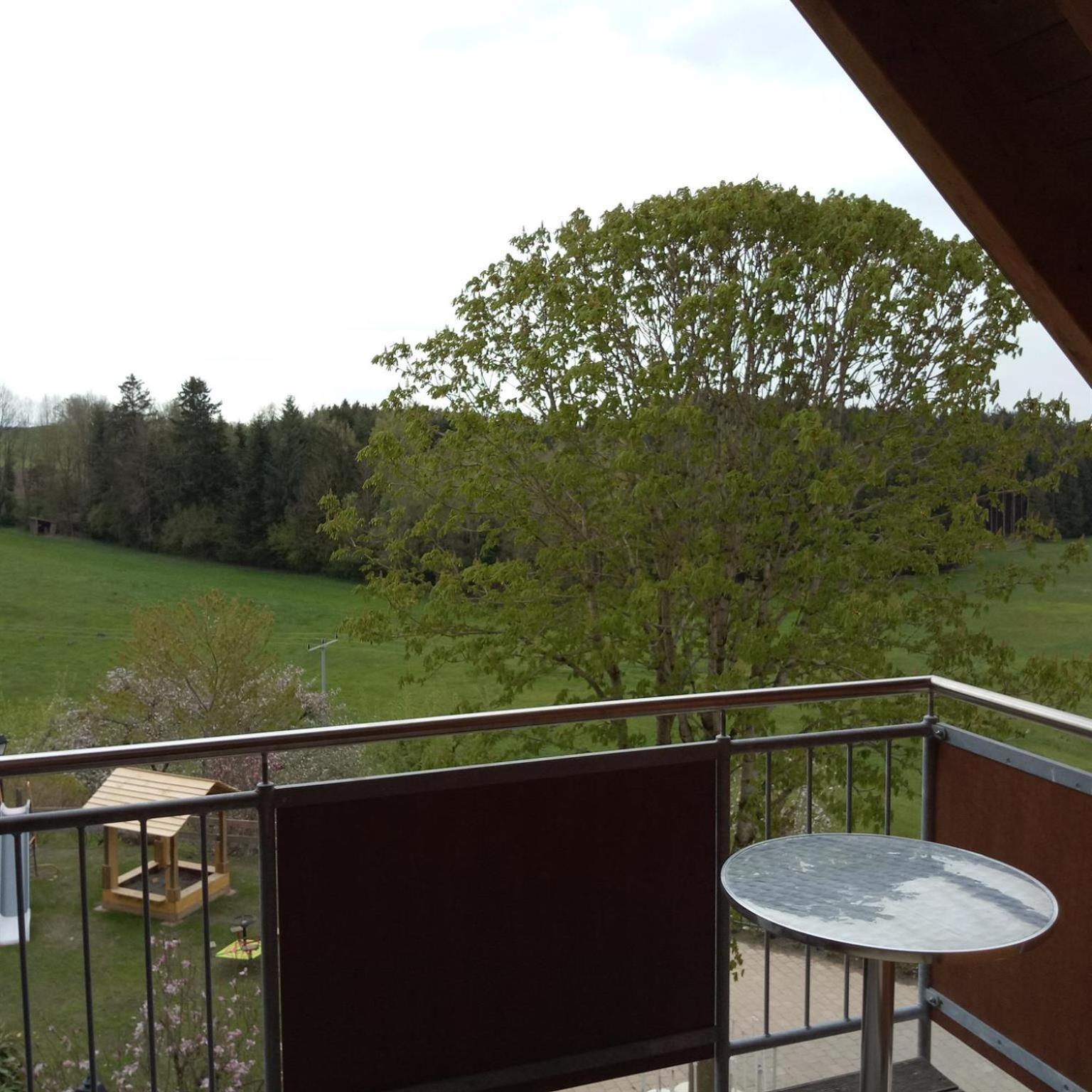 Gasthof Gruener Baum "Kongo" Amtzell Kamer foto