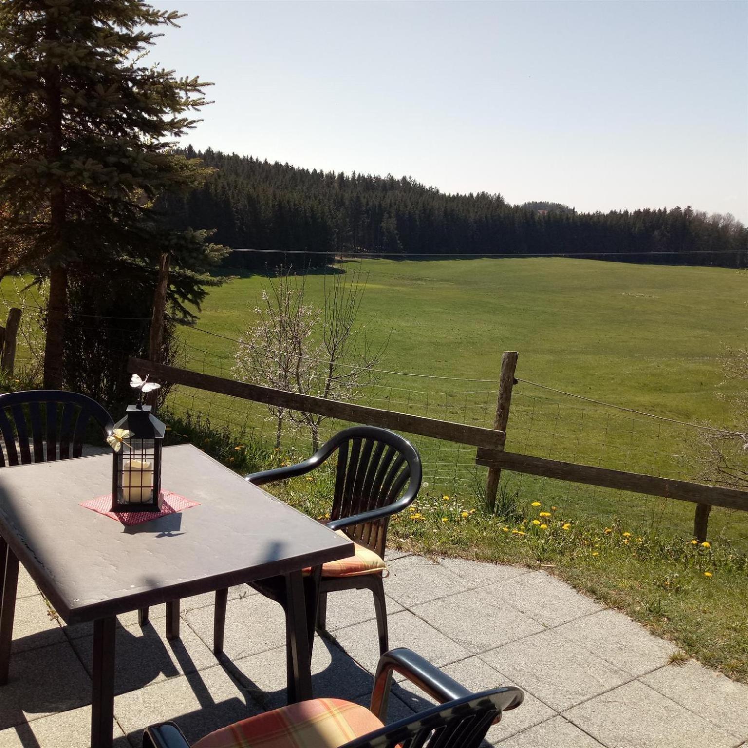 Gasthof Gruener Baum "Kongo" Amtzell Kamer foto